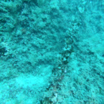 zona_8_oggetto2